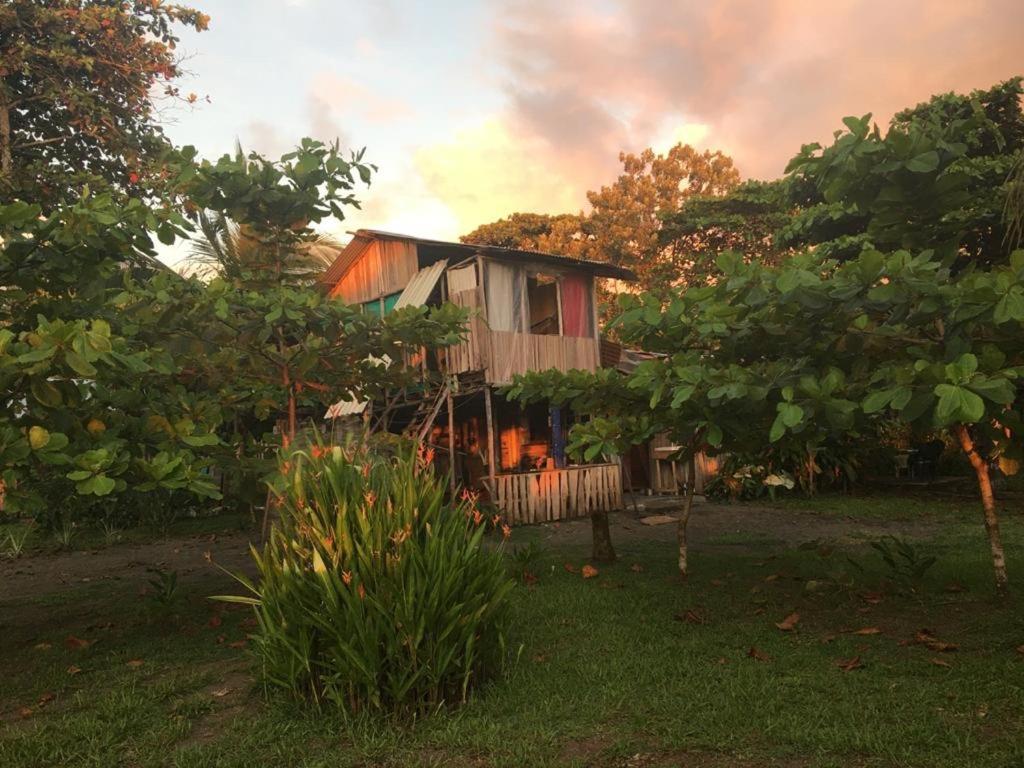 Hotel Miguel Surf Camp Quepos Zewnętrze zdjęcie