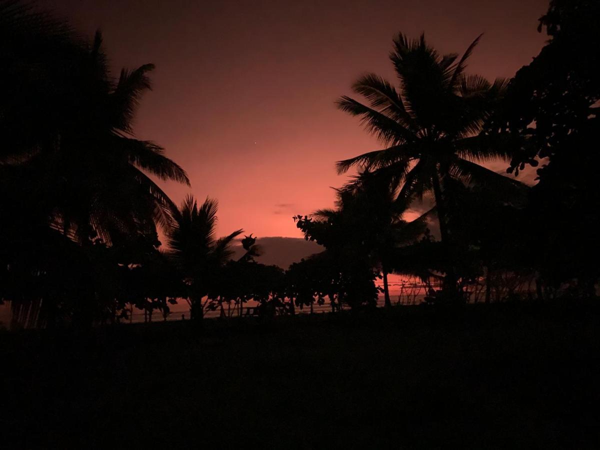 Hotel Miguel Surf Camp Quepos Zewnętrze zdjęcie
