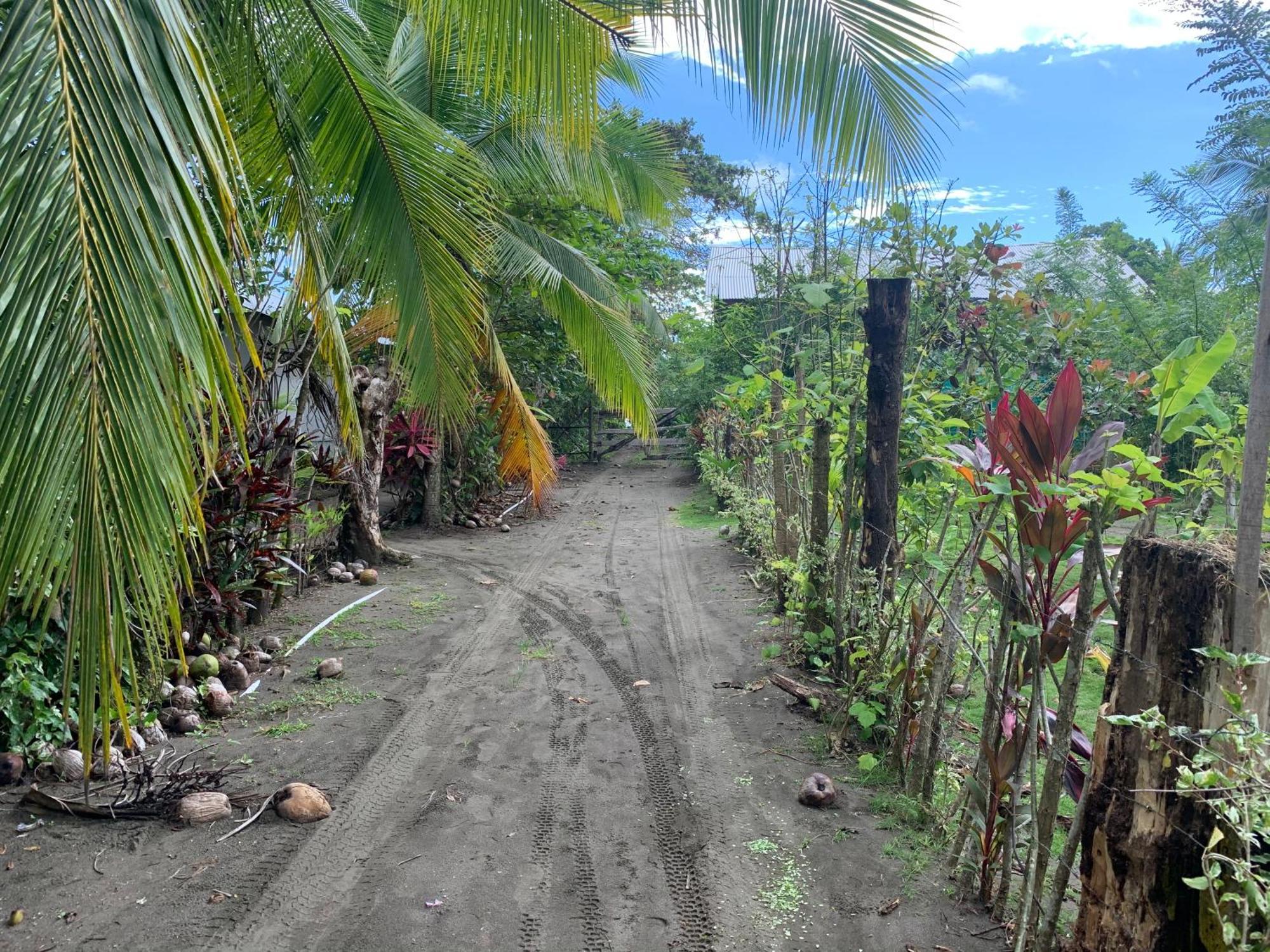 Hotel Miguel Surf Camp Quepos Zewnętrze zdjęcie