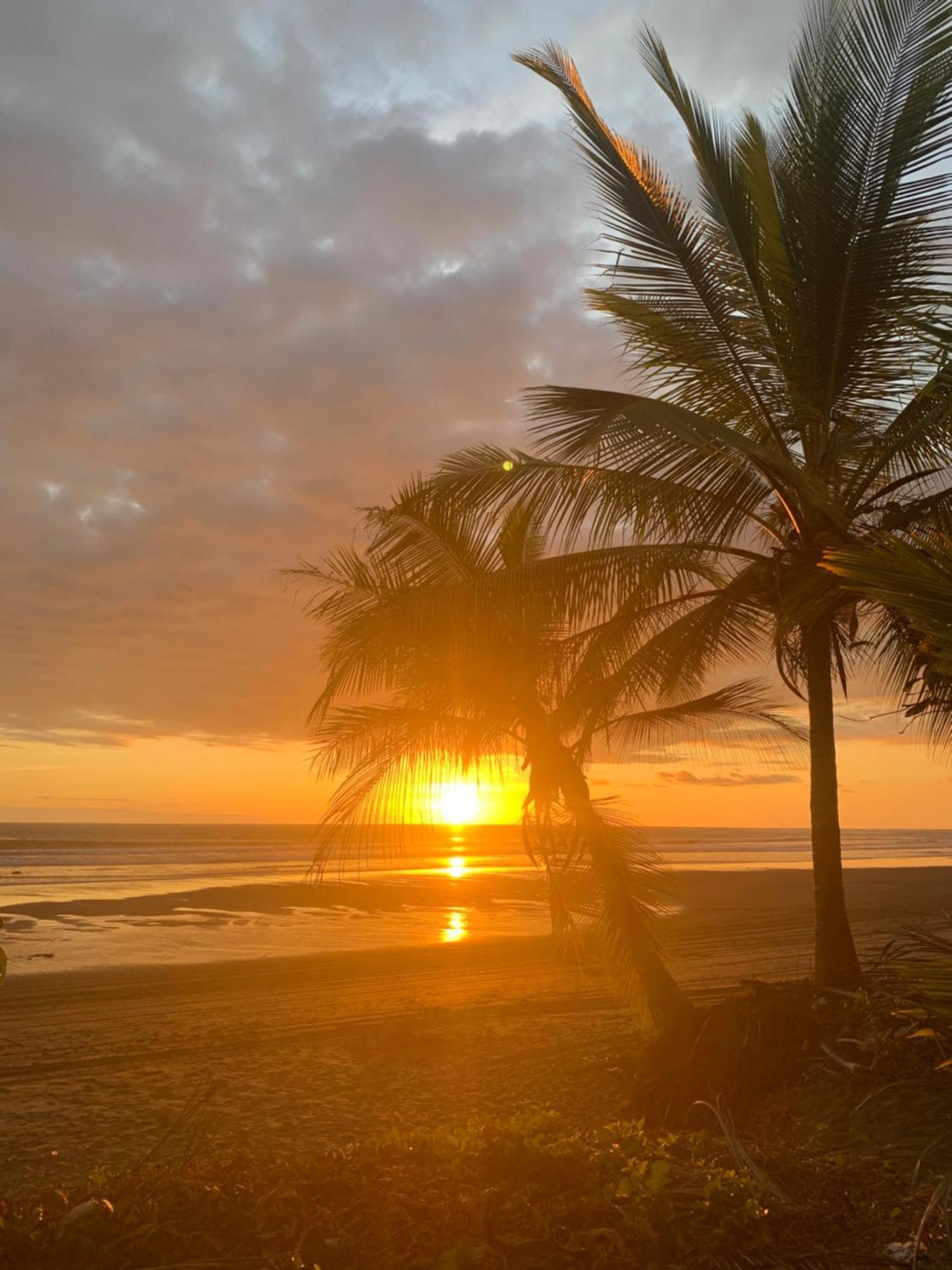 Hotel Miguel Surf Camp Quepos Zewnętrze zdjęcie