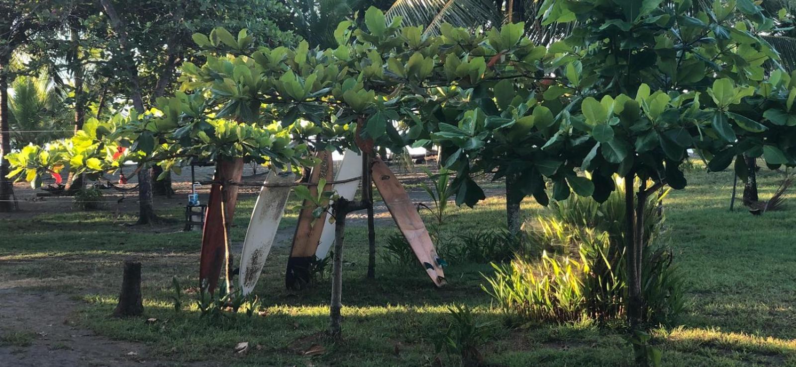 Hotel Miguel Surf Camp Quepos Zewnętrze zdjęcie